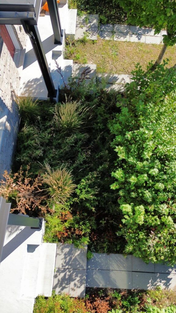 Hedge trimming and garden bed weeding in Orléans with neatly shaped hedges and clean, weed-free soil.