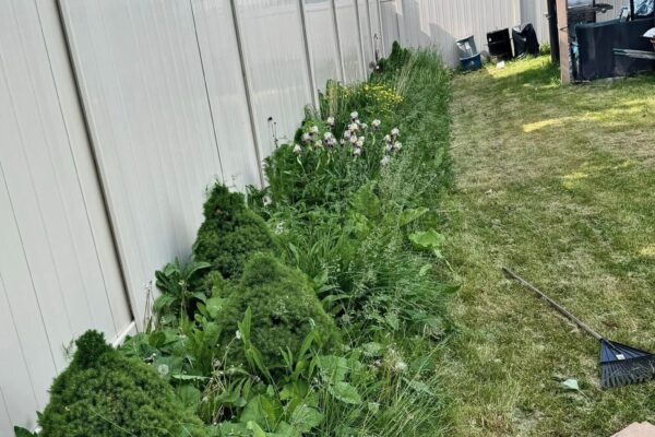 Freshly cleaned and maintained garden in Orléans Ottawa