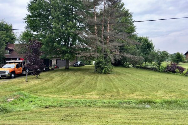 Lawn care service mowing a residential yard in Cumberland Ottawa