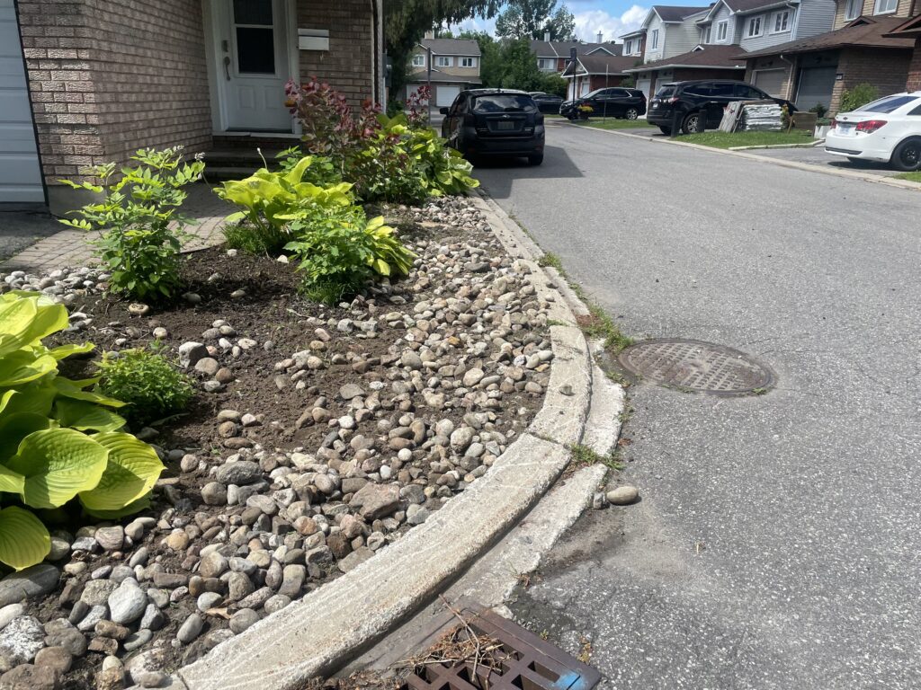 Garden bed maintenance in Orléans featuring freshly weeded soil, trimmed plants, and neatly arranged mulch.