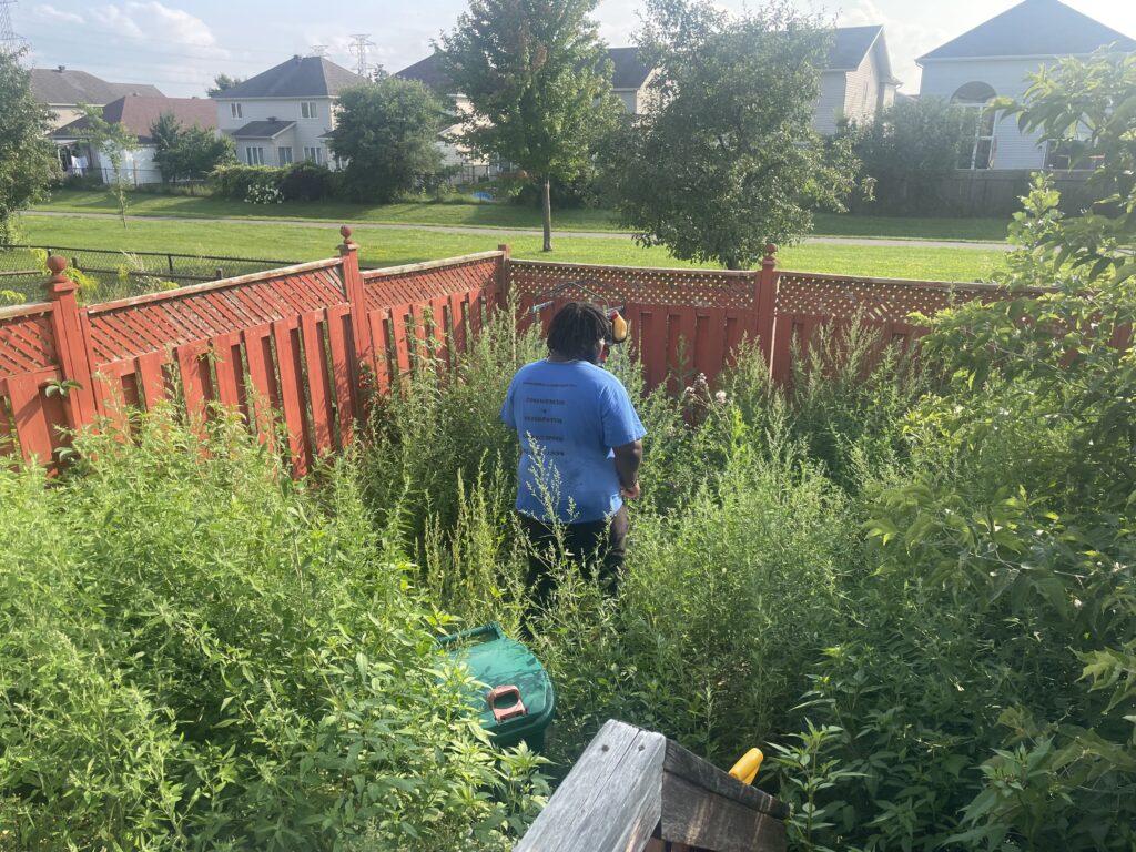 Overgrown weeds and tall grass being cleared along Walkley Road in Ottawa, restoring a clean and maintained landscape.