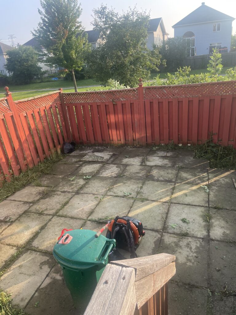 Overgrown weed and grass removal service on Walkley Road Ottawa with tall grass cutting, brush clearing, and property cleanup.