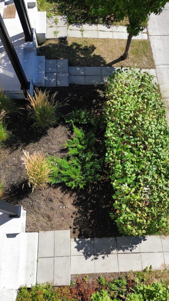 Hedge trimming and garden bed weeding in Orléans with neatly shaped hedges and clean, weed-free soil.