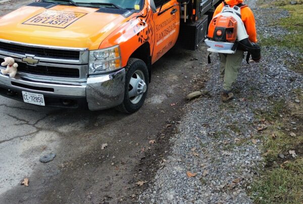 Spring and fall yard cleanup service in Orléans Ottawa East End removing leaves, debris and preparing lawn