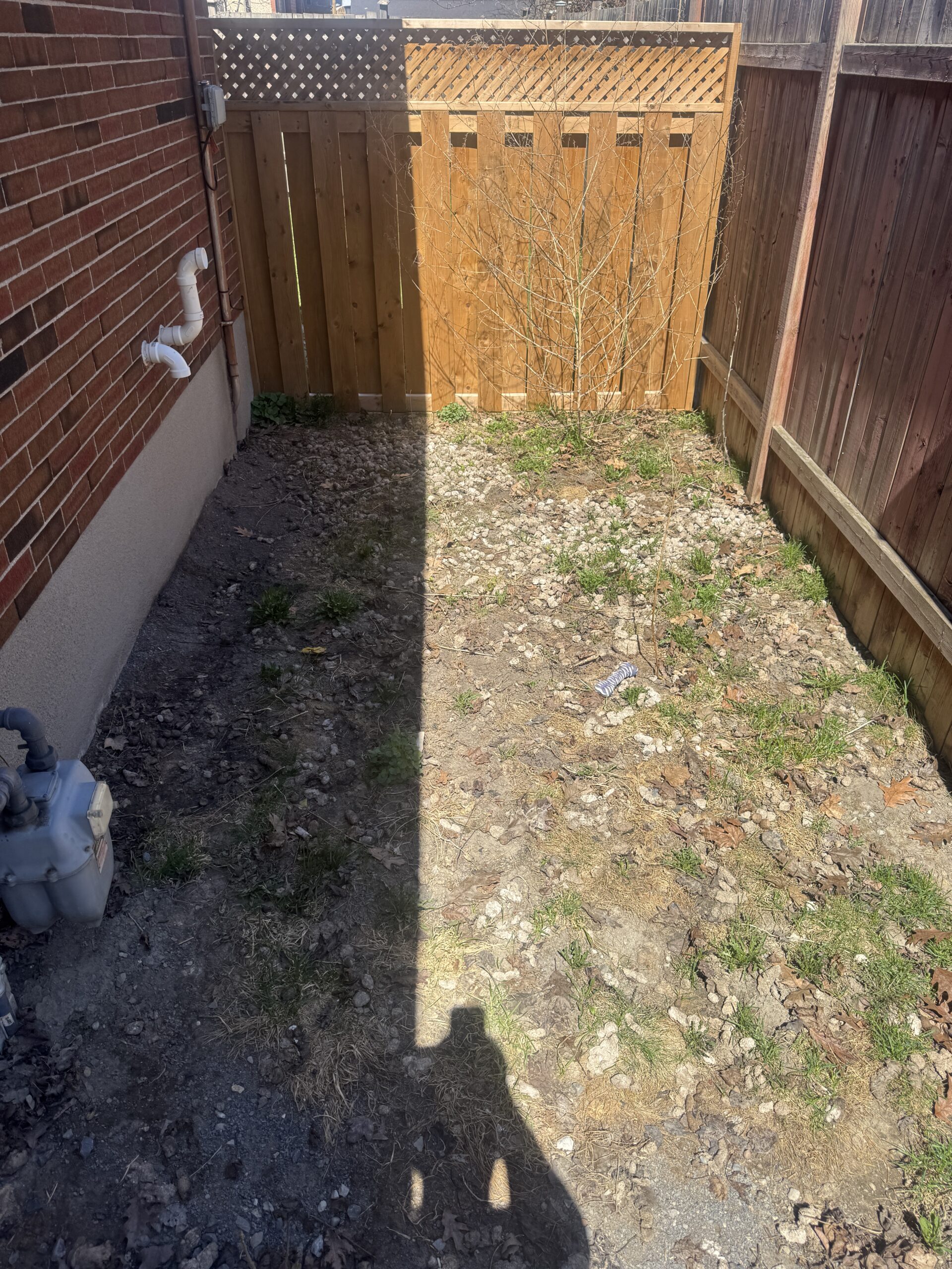 Before cleanup
