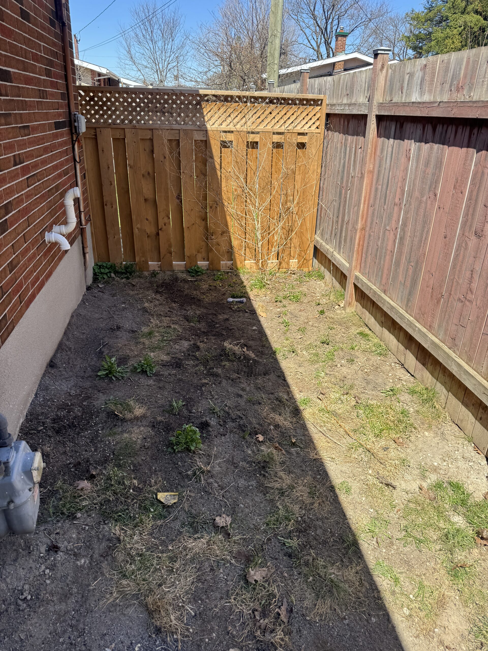 After cleanup
